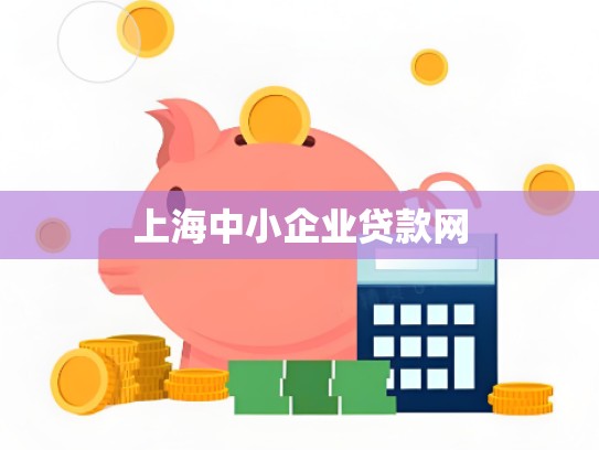 上海中小企业贷款网