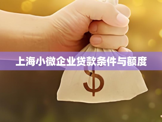 上海小微企业贷款条件与额度