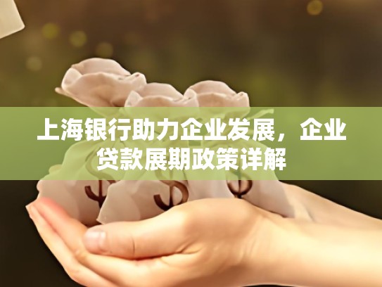 上海银行助力企业发展，企业贷款展期政策详解
