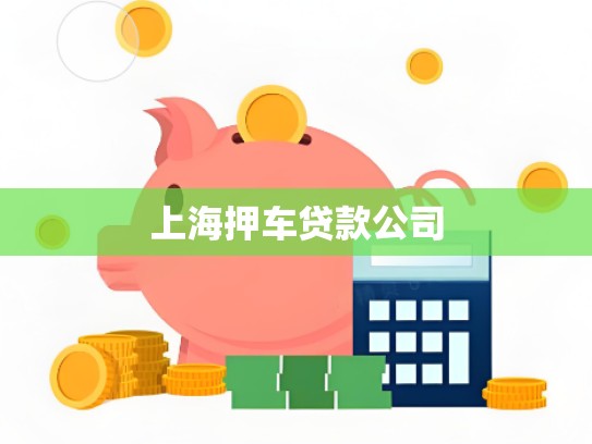 上海押车贷款公司