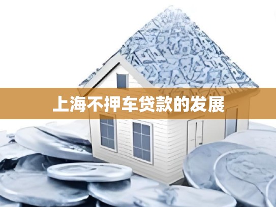上海不押车贷款的发展
