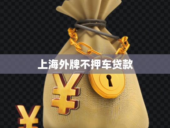 上海外牌不押车贷款