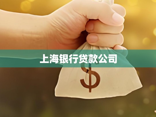 上海银行贷款公司