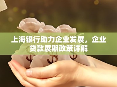 上海银行助力企业发展，企业贷款展期政策详解
