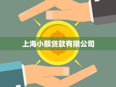 上海小额贷款有限公司
