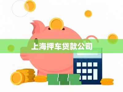 上海押车贷款公司