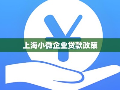 上海小微企业贷款政策