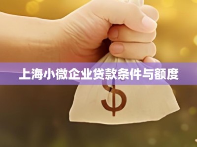 上海小微企业贷款条件与额度