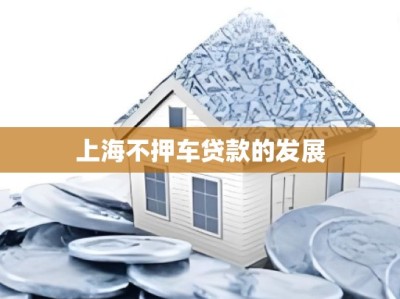 上海不押车贷款的发展