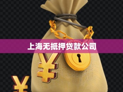 上海无抵押贷款公司