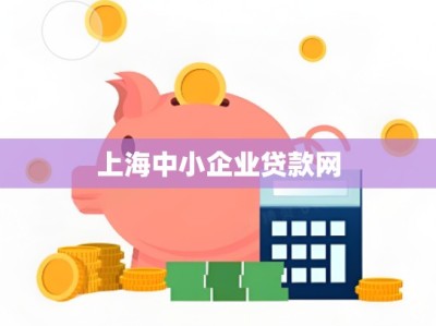 上海中小企业贷款网